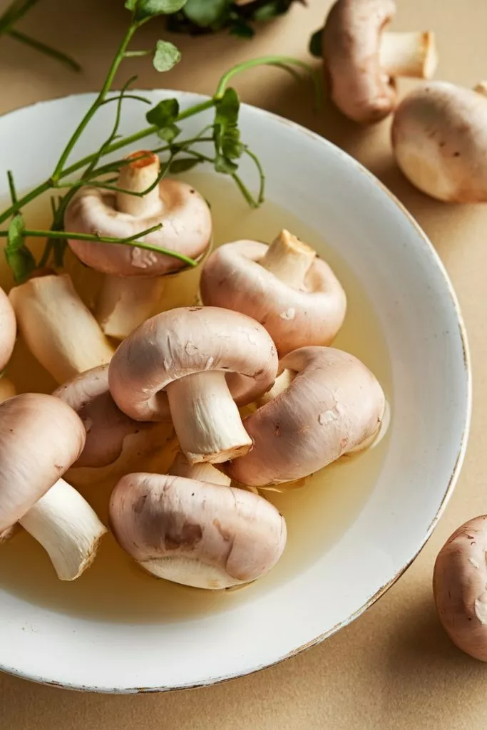 A Photo Of A White Plate With Pickled Ch Jyqxipfyrrashqeznyvm5q E6 Hn3puqmmv Kraygpqfq